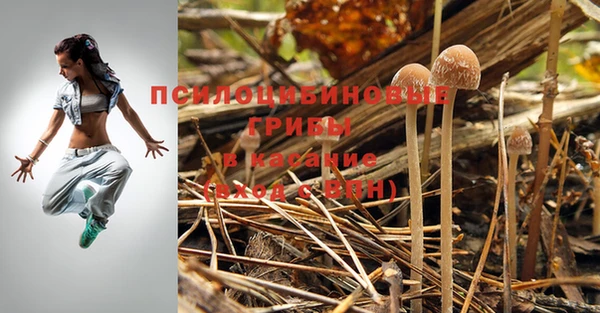 синтетический гашиш Алексин