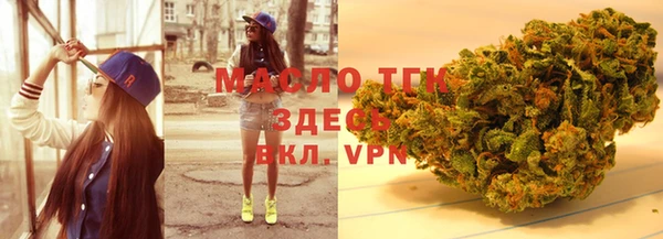 индика Алзамай